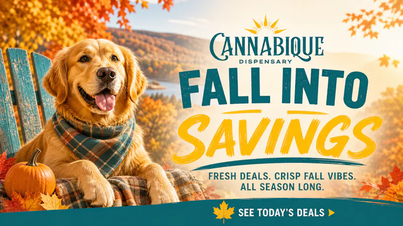 Cannabique Shop FALL Deals Cannabique