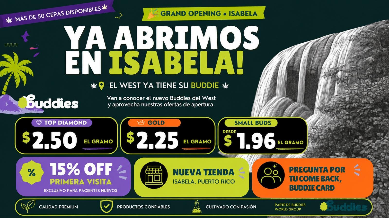 Buddies - Isabela YA ESTAMOS ABIERTOS