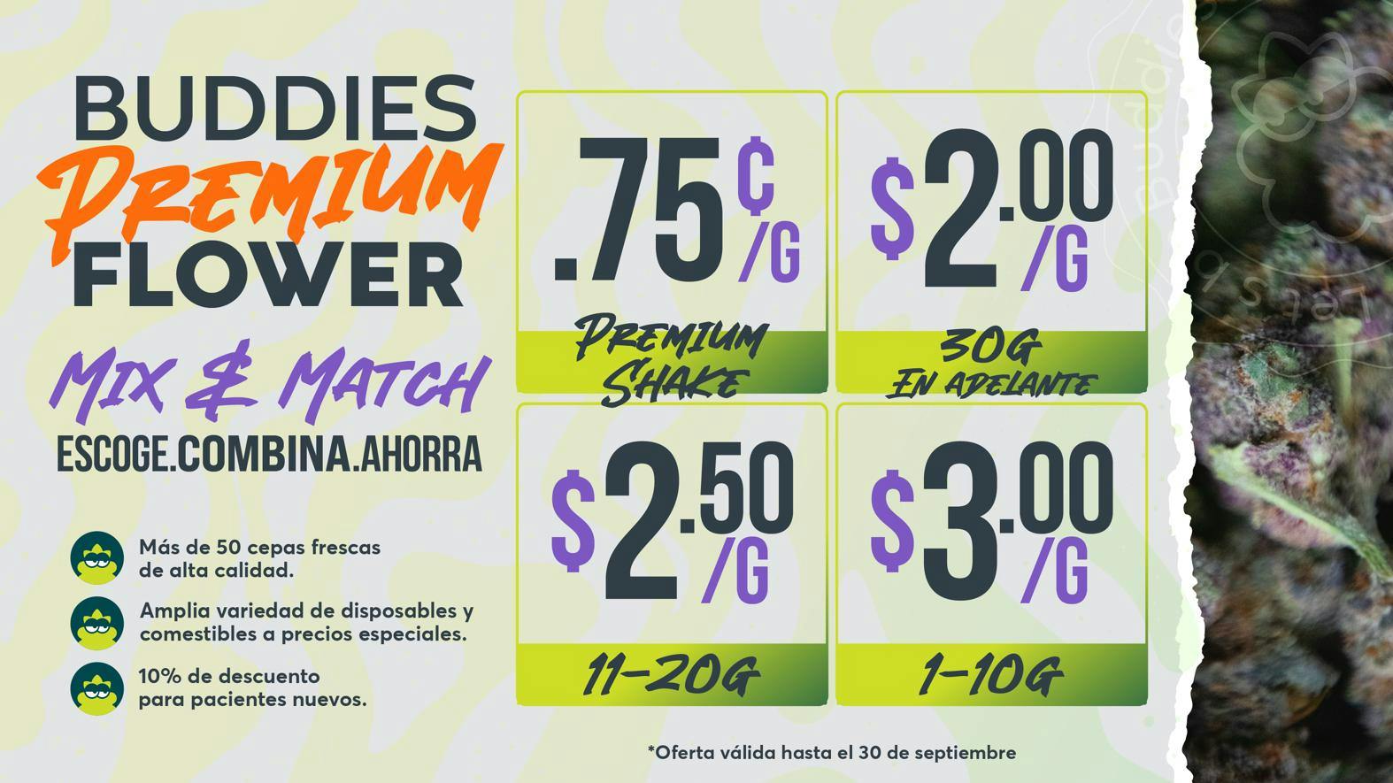 Buddies - Isabela EN BUDDIES LO BUENO SE PONE MEJOR