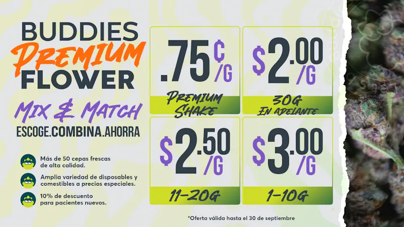 Buddies - Isabela EN BUDDIES LO BUENO SE PONE MEJOR