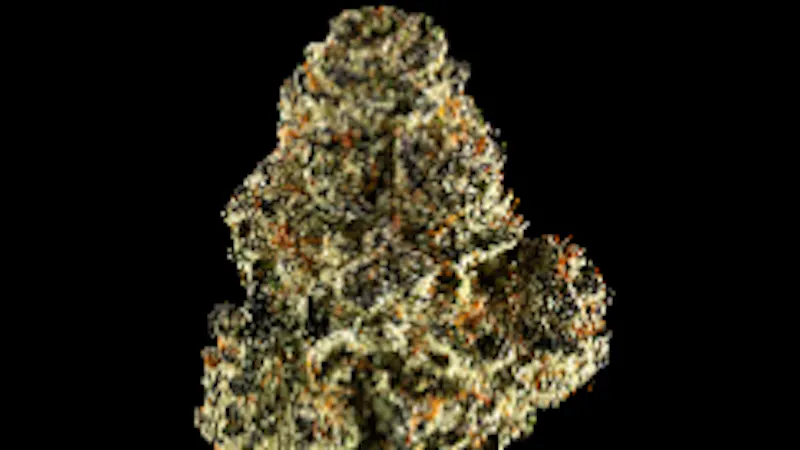 American Made Cannabis 20% OFF 1/2 OUNCE PURPLE ICE WATER
