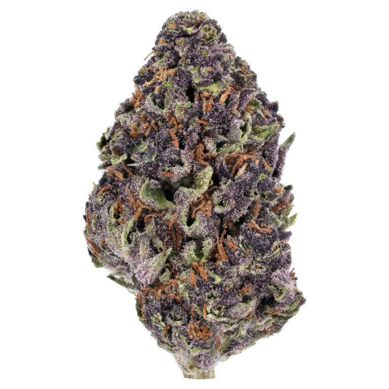 Granddaddy Purp 14G TOP-PREMIUM (NEW DROP)