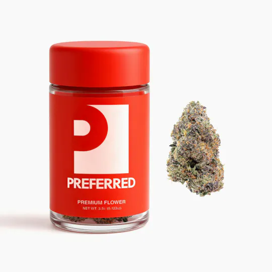 Preferred Gardens - Purple Medusa | Big Buds Jar | 3.5g - 1