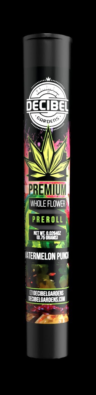 Decibel Gardens - Watermelon Punch | Pre Roll | 0.75g - 1