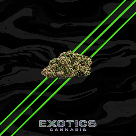 Goodlyfe Farms - Pistachio | Big Buds | 28g - 1