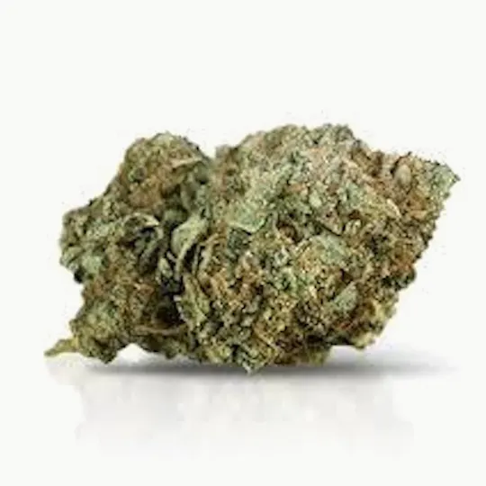 Mojo - Mojo | Sunset Sherb | Big Buds | 14g - 1