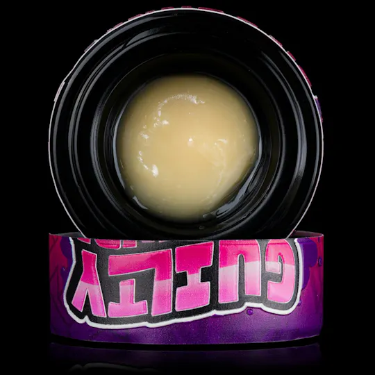 Have Hash - Guilty Pleazure | Tier 1 Live Rosin | 1g - 1