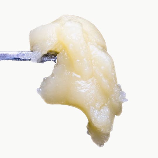 Harmony Extracts - Harmony Terp Badder - 1