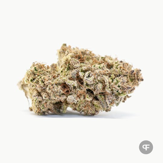 Phantom Farms - Casa Blanca - 1