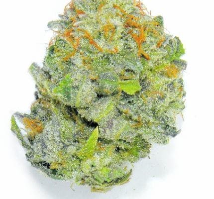 Pl Girl Scout Cookies