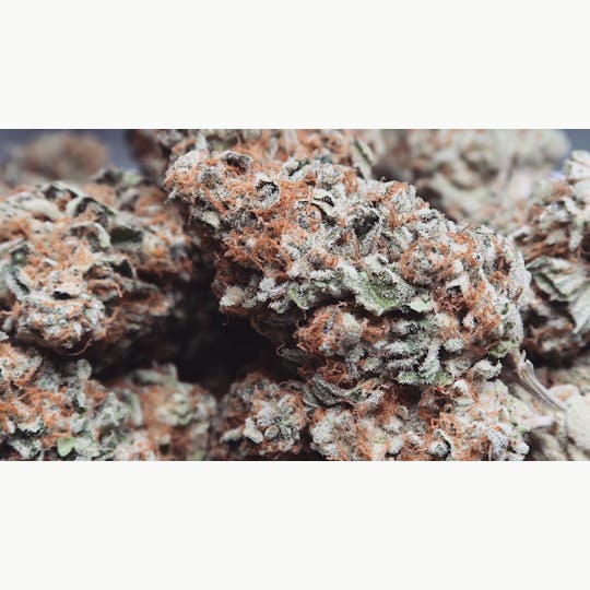 High Tide Organics - Banana Kush - 1