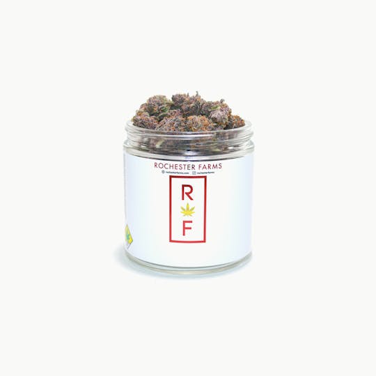 Rochester Farms - Huckleberry Soda - 1