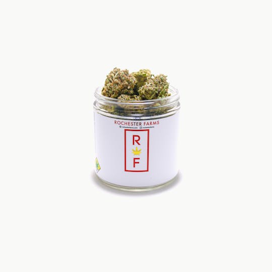 Rochester Farms - Strawberry Mamba - 1