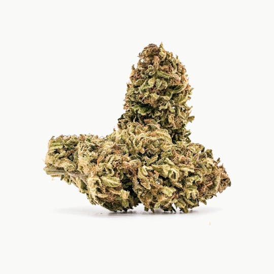 CBD420 - Mango Haze - 1