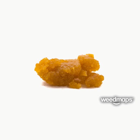 Concentrate Kings - Fog Terp Sugar 1g - 1