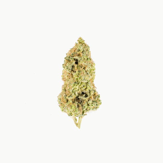 Kynd Cannabis - AK-47 - 1