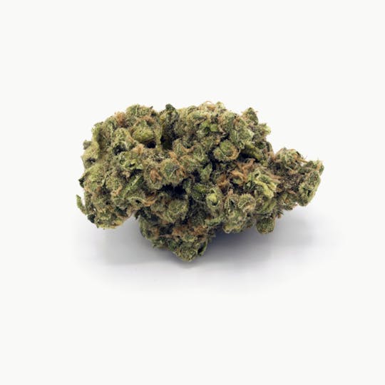 Tryke - Jack Herer - 1