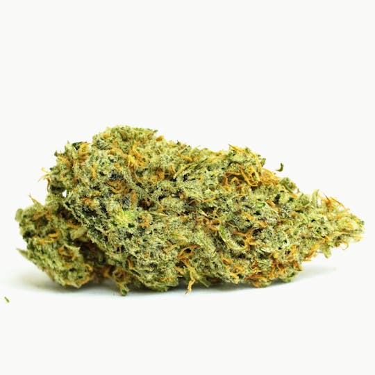PONO LIFE MAUI - Hawaiian Dutch - 1