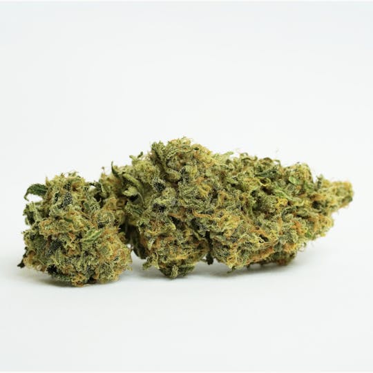 PONO LIFE MAUI - CBD Shark - 1