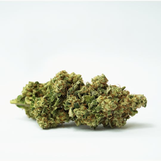 PONO LIFE MAUI - Chemdawg - 23.3% THC - 1