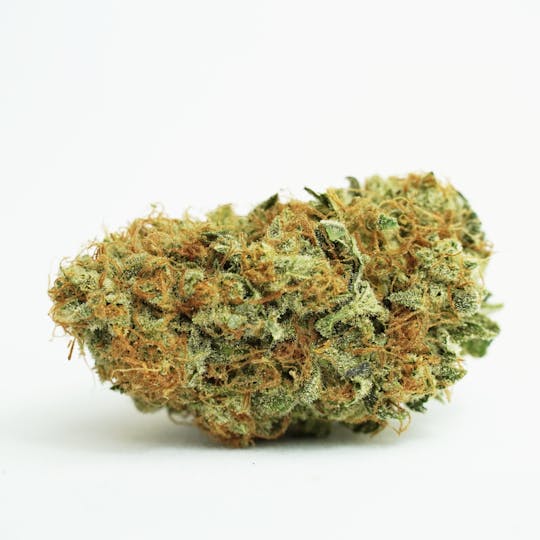 PONO LIFE MAUI - Key Lime - 1