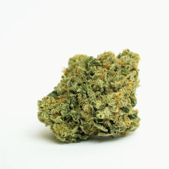 PONO LIFE MAUI - Maui Cookie - 1