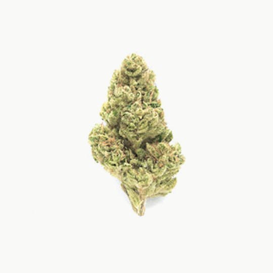 CommCan - Secret Formula - 1