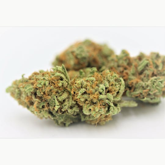 Elevation 207 - Tahoe OG - 1