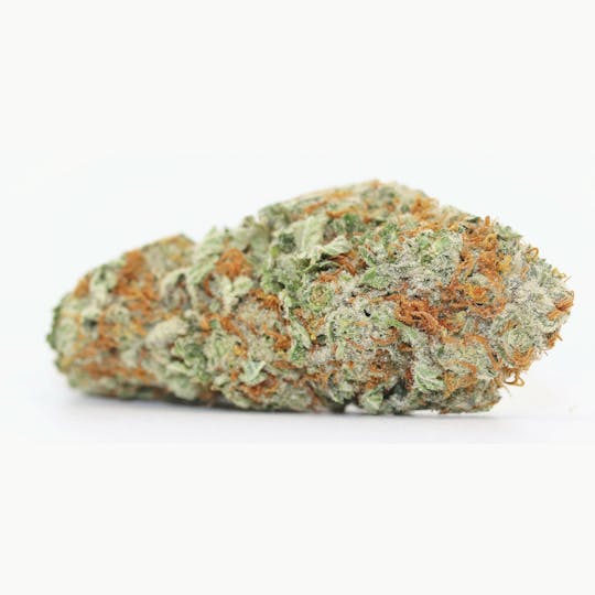 Elevation 207 - Girl Scout Cookies Extreme - 1
