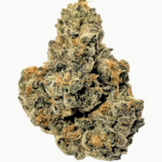 Theory Wellness - Triangle Mints - 1