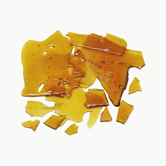 Theory Wellness - Shatter: Shark Shock - 1