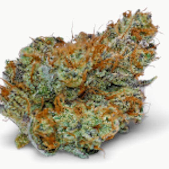Theory Wellness - Sunshine Daydream - 1