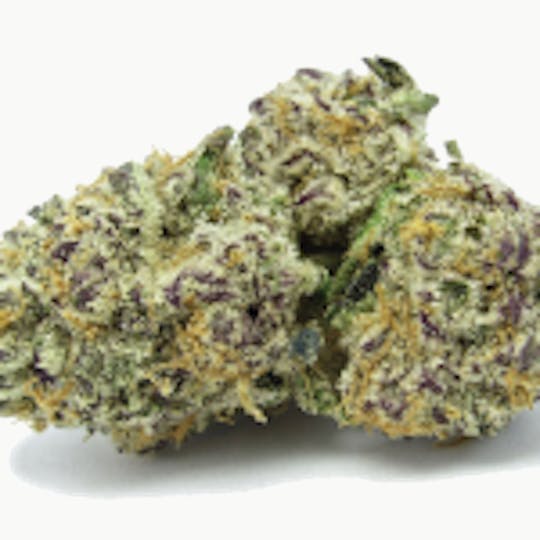 Theory Wellness - Purple Punch - 1