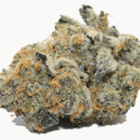 Theory Wellness - Wedding Cake - 1