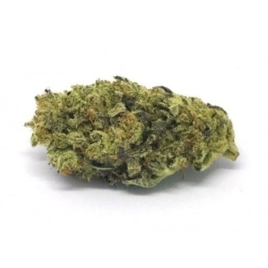 Cheese 20g
