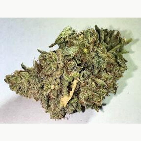 PONO LIFE MAUI - Gorilla Glue - 1