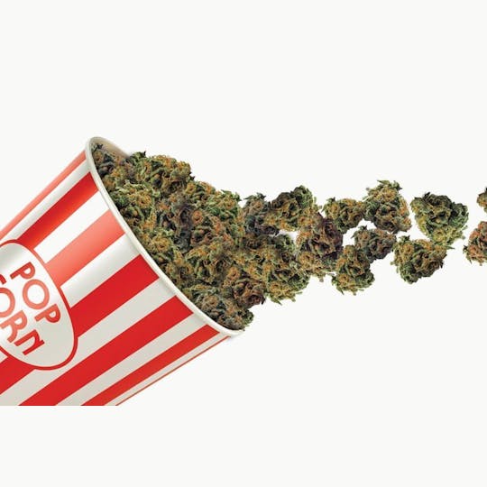 PONO LIFE MAUI - Sour Diesel Popcorn Eighths - 1