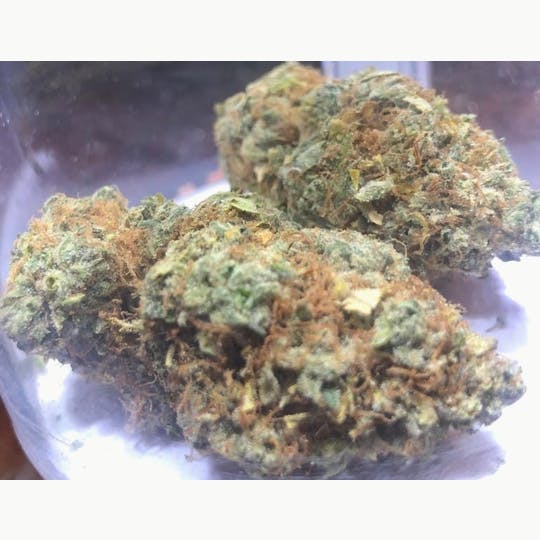 Simply Cannabis 207 - Chocolope - 1