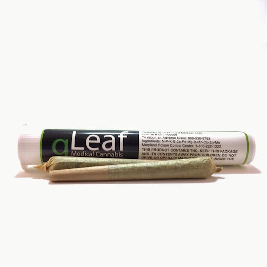 gLeaf - GG#4 Pre Roll - 1