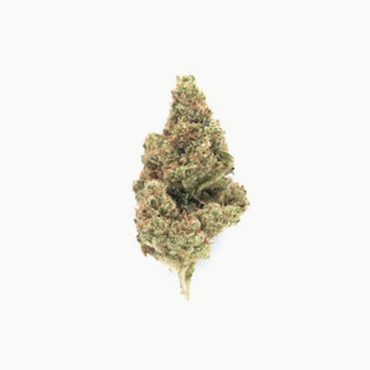 CommCan - Sour Diesel - 1