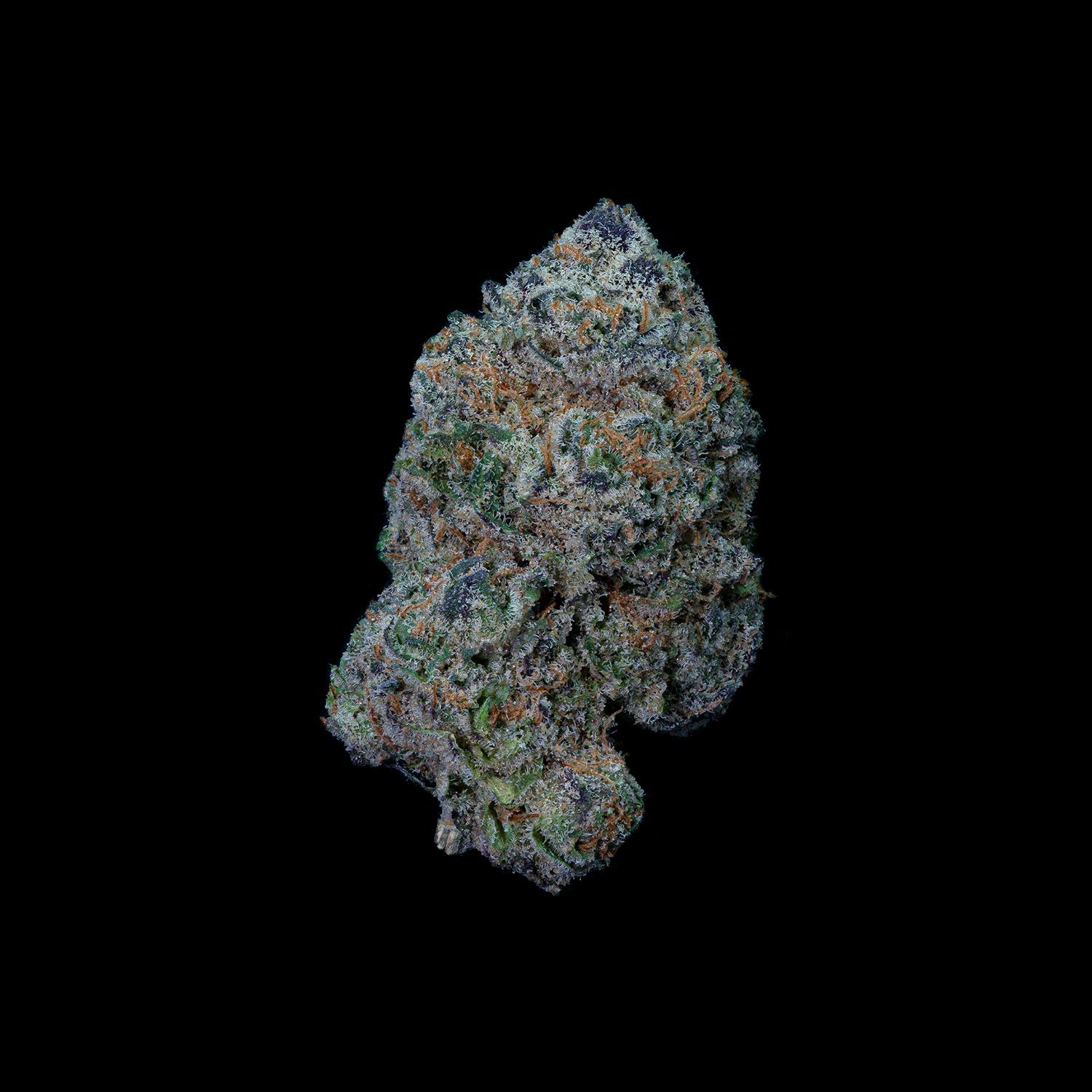 CommCan - Crippy Killer - 1