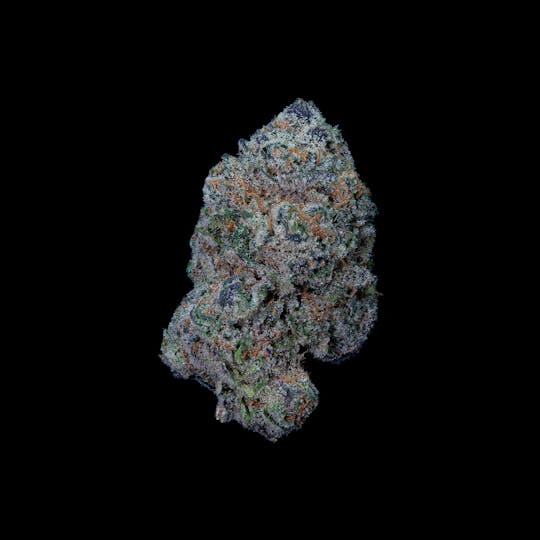 CommCan - Crippy Killer - 1