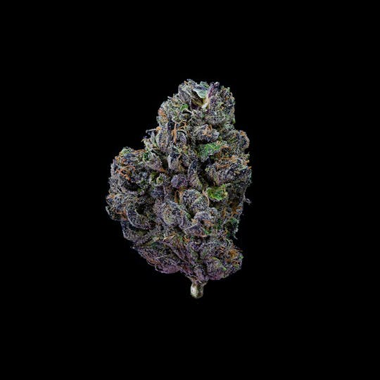 CommCan - Sunset Sherbet - 1