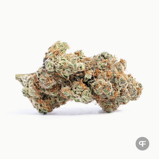 Phantom Farms - Kandy Kush - 1