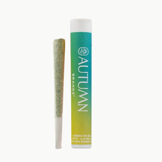 Autumn Brands - Sour Diesel 1 gram Preroll - 1