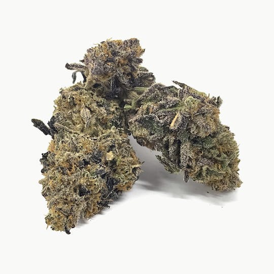 Iron Lung (Medical) - Fantasia OG - 1
