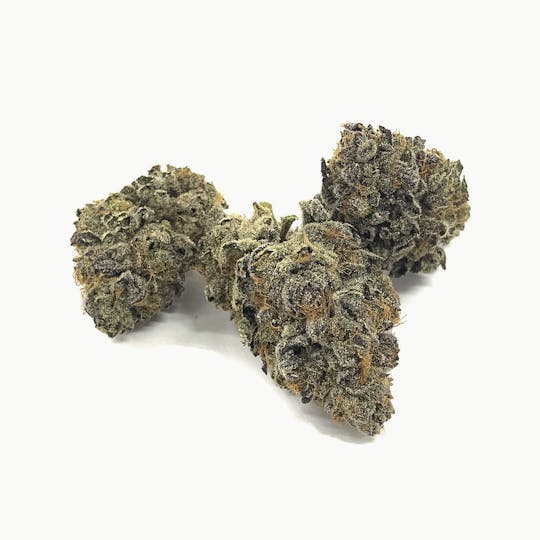 Iron Lung (Medical) - Kerosene Cookies - 1