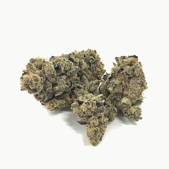 Iron Lung (Medical) - Pre-Nup - 1