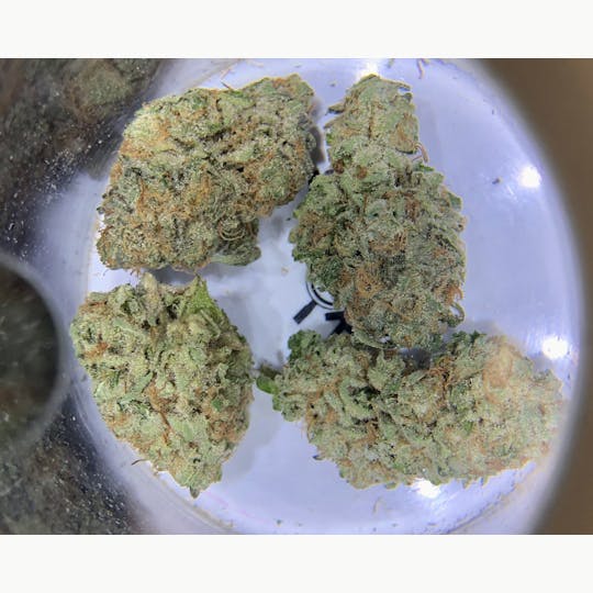 Simply Cannabis 207 - Watermelon Zkittlez - 1
