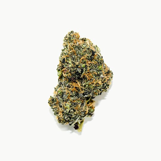 ERBA - ERBA - Blackwater Kush - 1